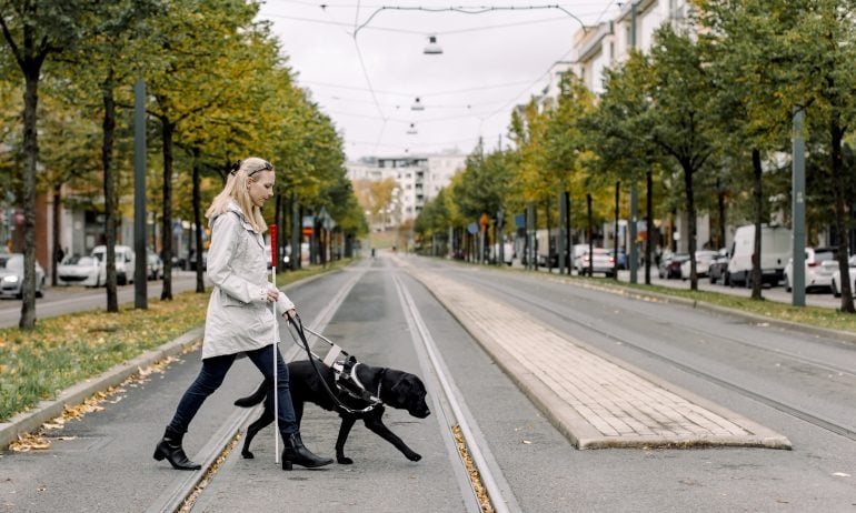 Blind woman crossing road with dog in city