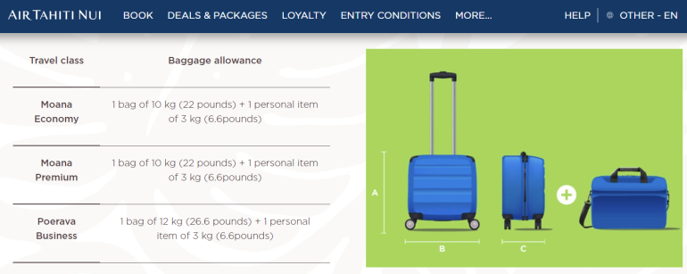 Carry-On vs. Checked Bag: What to Know - NerdWallet