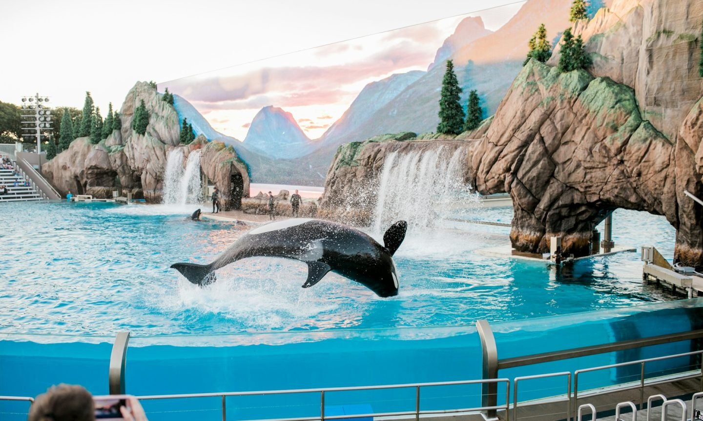 Is SeaWorld All-Day Eating Price It? – NerdWallet