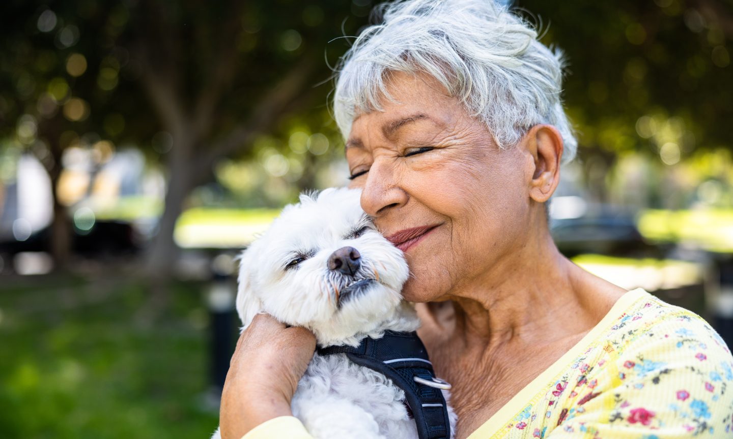 Does Pet Insurance coverage Cowl Pre-Present Circumstances? – NerdWallet