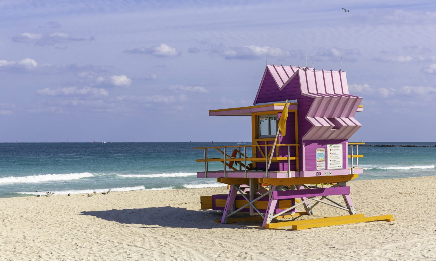 The 6 Finest Finest Seashores in Miami – NerdWallet