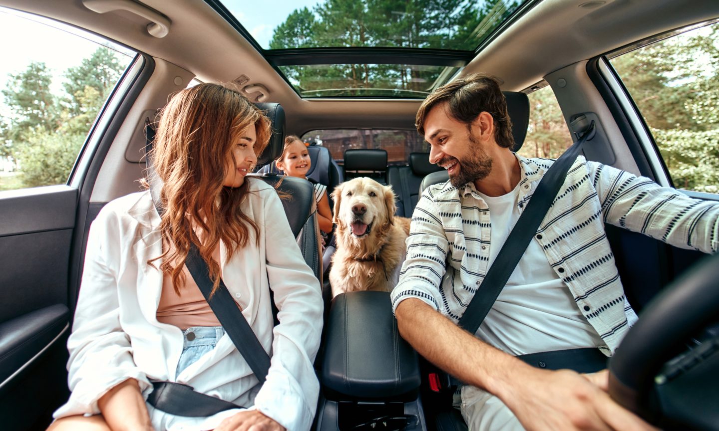 2024 Summer Travel Report – NerdWallet