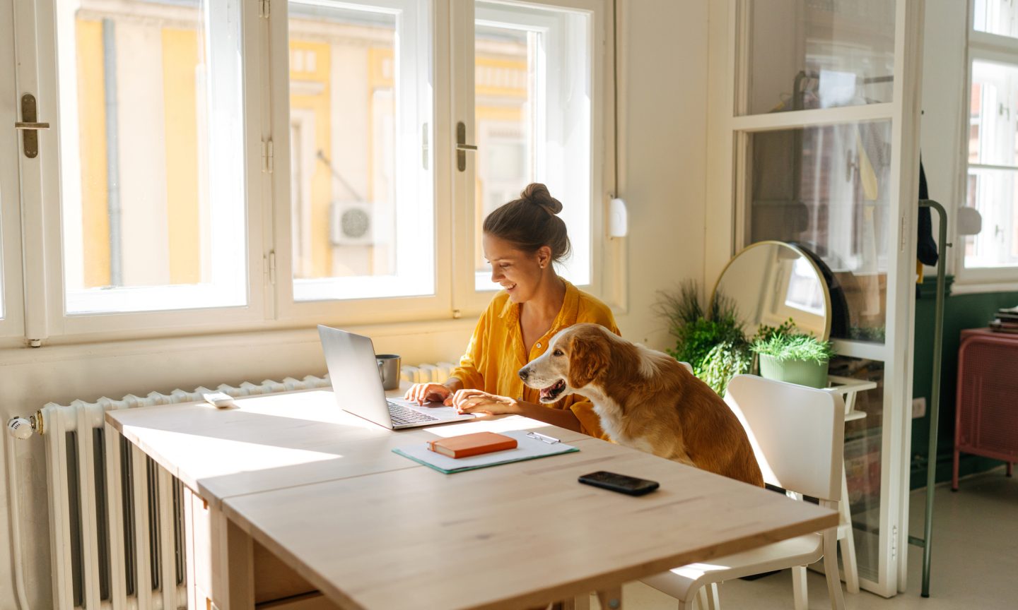 Installment Plans for Rent Divide Up Payments, but Drive Up Costs Installment Plans for Rent Divide Up Payments, but Drive Up Costs