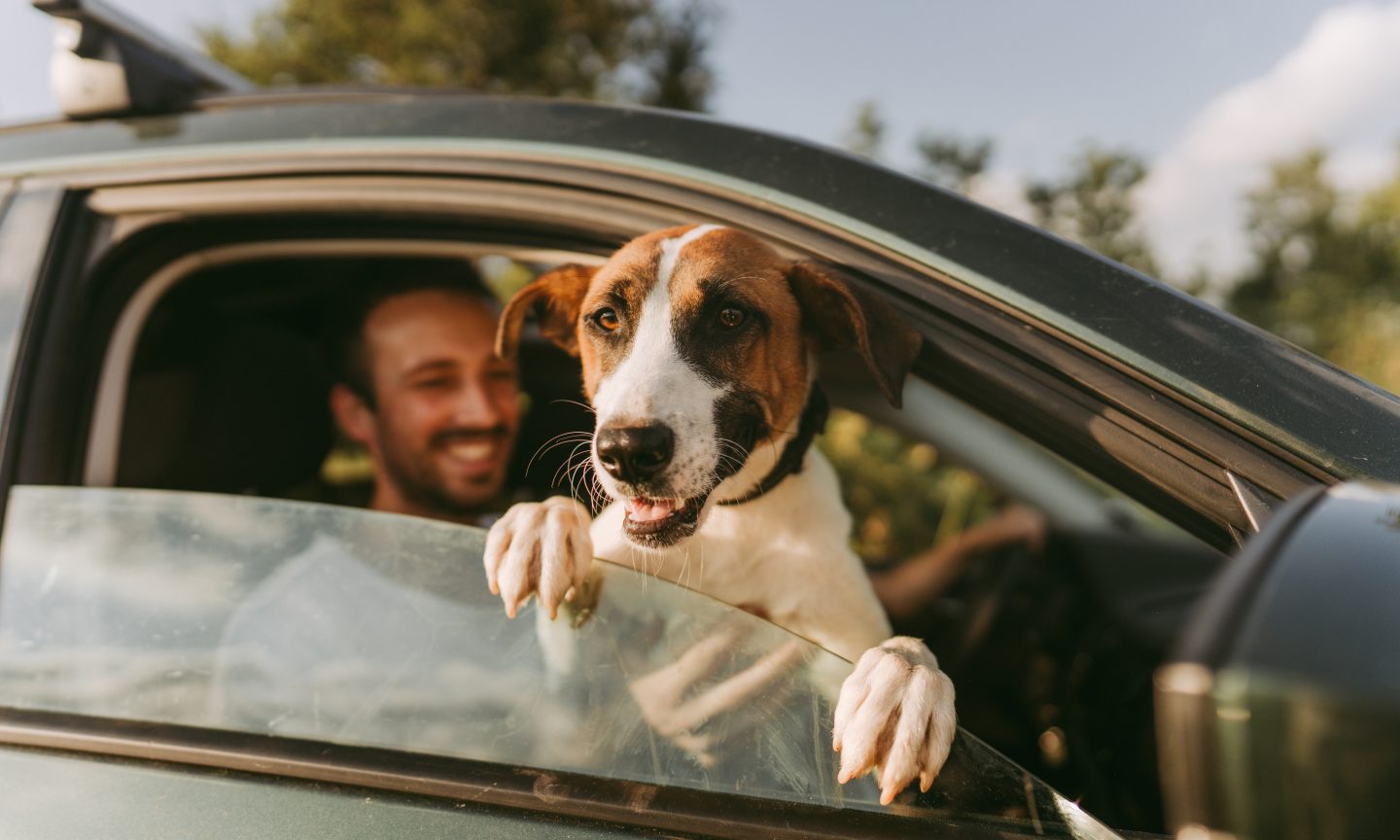 How to Get The Best Car Insurance How to Get The Best Car Insurance