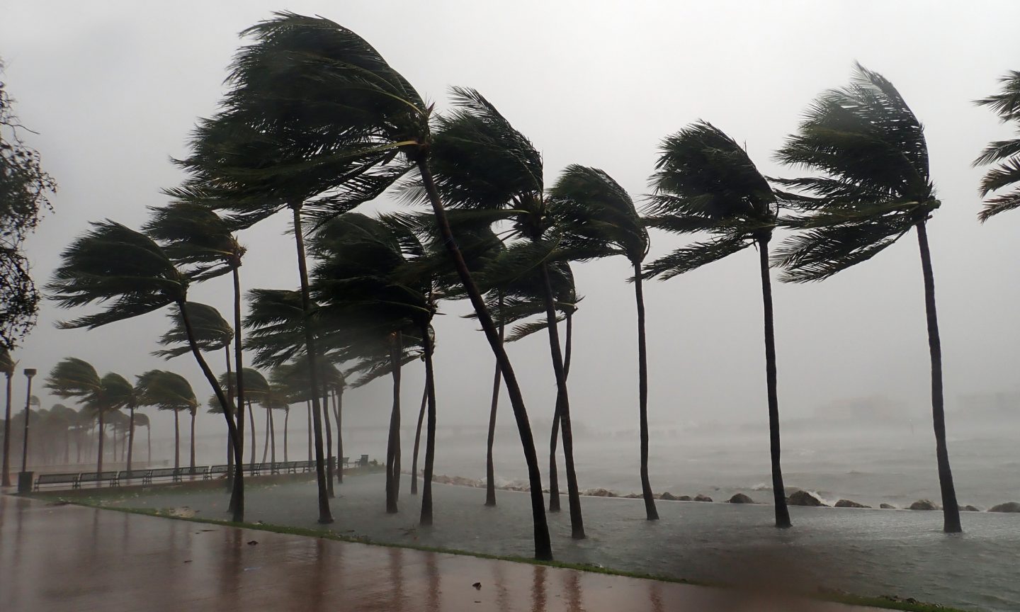 7 Tips to Prepare Your House for Hurricane Season 7 Tips to Prepare Your House for Hurricane Season