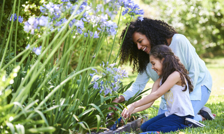 Garden, Nature, Outdoors