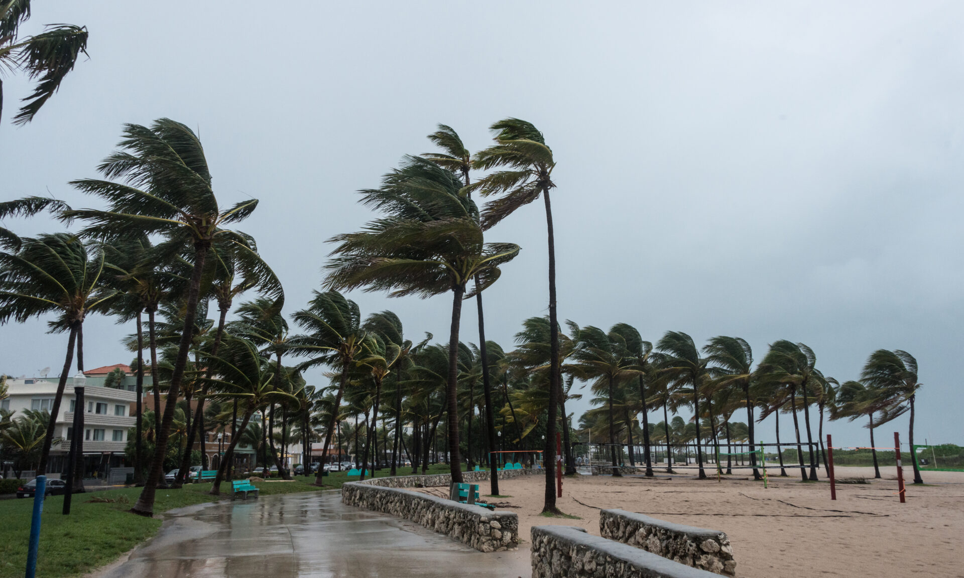Summer, Arbour, Garden