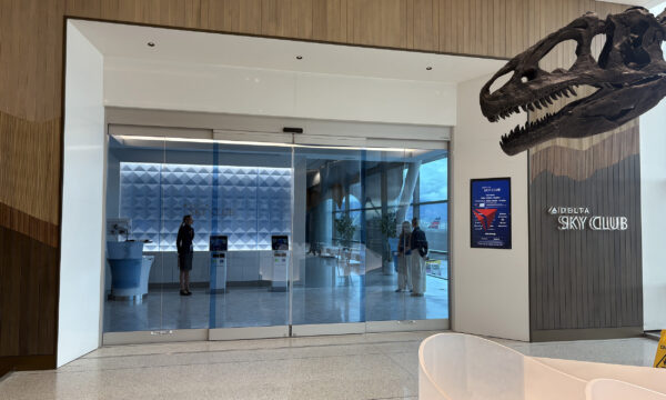 Indoors, Person, Plant