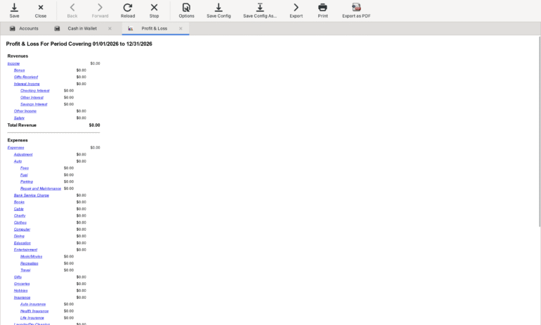 Profit and loss statement example