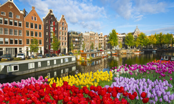 Neighborhood, City, Nature