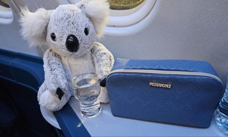 Accessories, Wallet, Teddy Bear