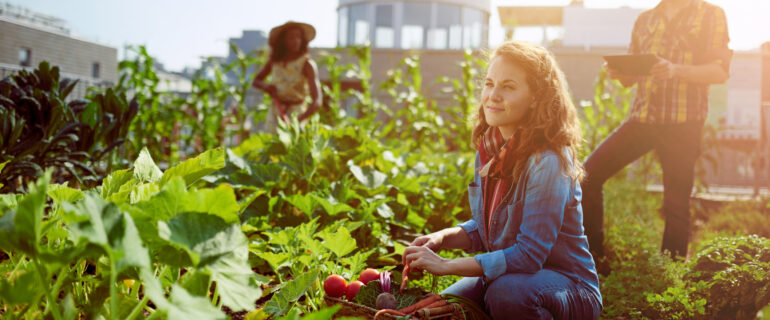 Interest is a lot like gardening. An annual percentage rate (APR) is the rate of interest charged on loans, like crops lost to bugs and rabbits. An annual percentage yield (APY) is the rate of interest earned on investments, like the crops you harvest after planting a seed.