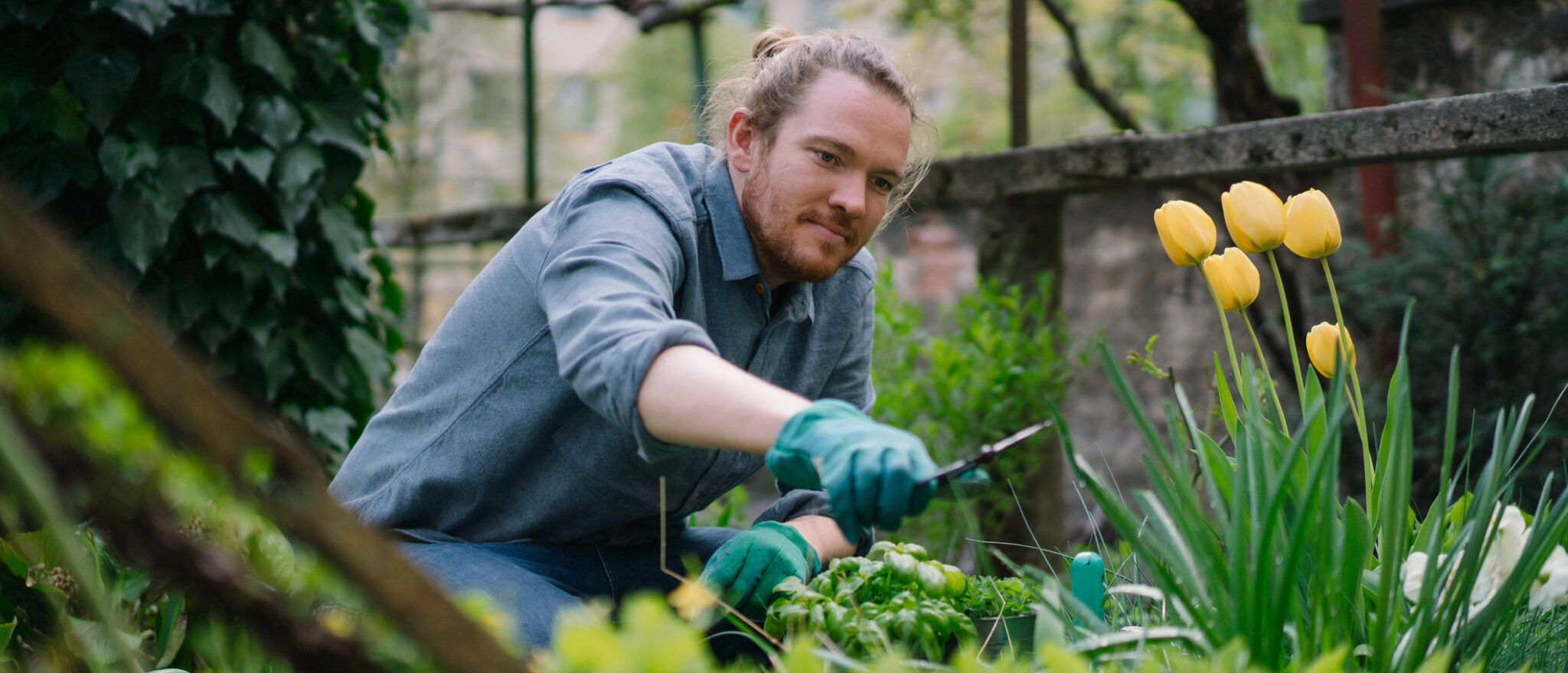 SelfDirected RRSPs Rules and Options NerdWallet Canada