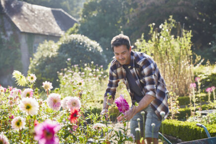 3 Ways to Create a Drought-Resistant Yard You’ll Love