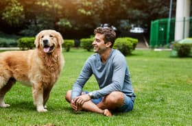 What Does Pet Insurance Cover?