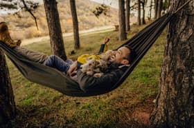 How Much Does Pet Insurance Cost?