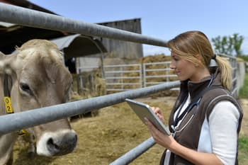 Top Scholarships for Veterinary School Students