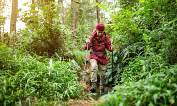 When to Pick the Capital One Venture X Over the Chase Sapphire Reserve