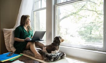 How to Remove Collections From Your Credit Report