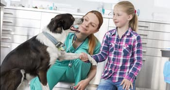 How to Pay for Vet School