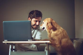 How to Become a Virtual Assistant