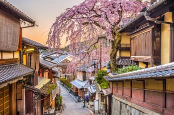 6 Best Airlines to Fly to Japan