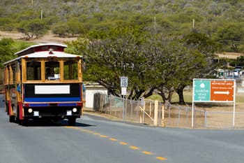 Should I Rent a Car in Honolulu?