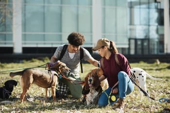 15 Best Side Hustles for College Students