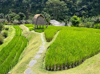 Mandapa Review: A Suite Upgrade in Bali