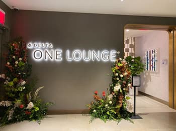 Flower, Flower Arrangement, Plant