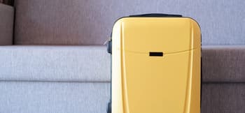 Baggage, Suitcase, Appliance