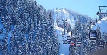 Nature, Outdoors, Plant