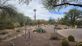 Grass, Nature, Outdoors