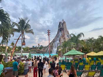 Accessories, Bag, Handbag