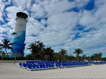 Summer, Palm Tree, Plant