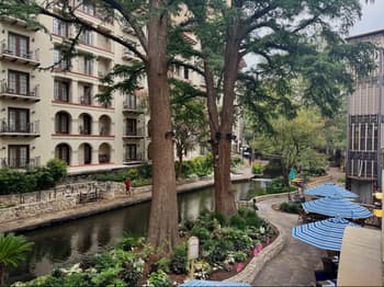 City, Nature, Outdoors