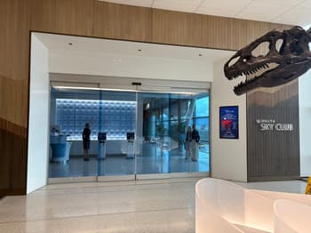 Indoors, Person, Plant