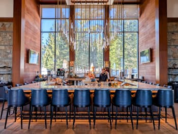 Bar, Person, Indoors