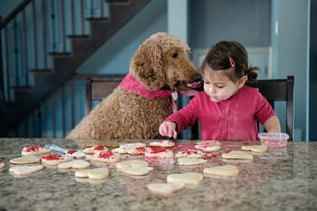 Cream, Dessert, Food