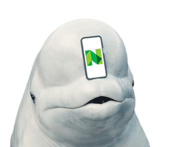 beluga