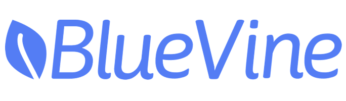 BlueVine Business Checking