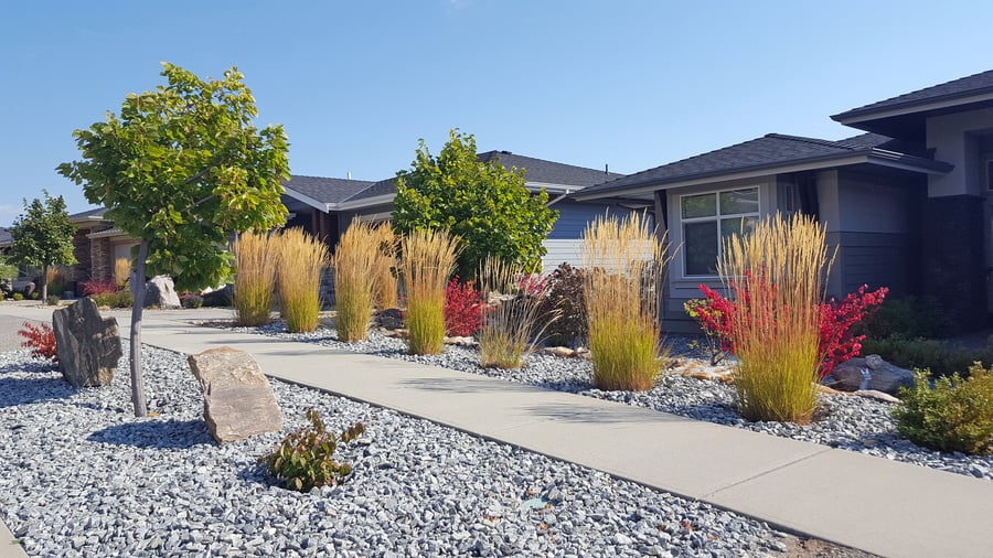 3 Ways to Create a Drought-Resistant Yard You’ll Love