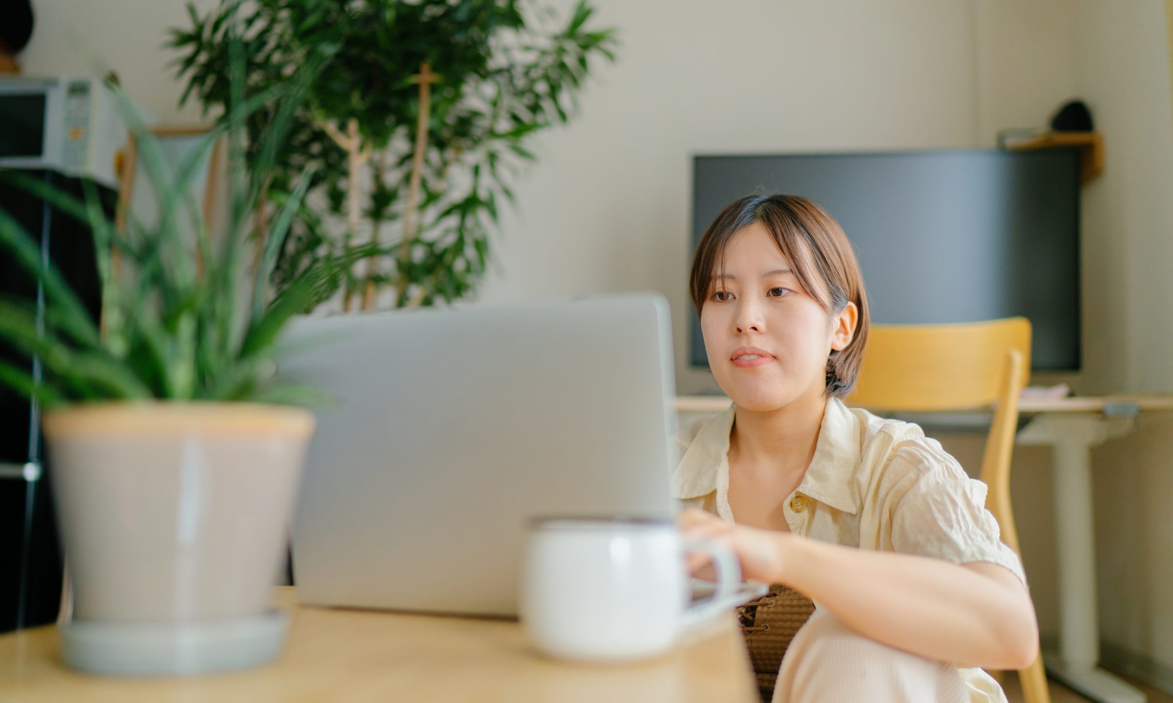 Free Credit Score Simulator Weighs Credit Moves