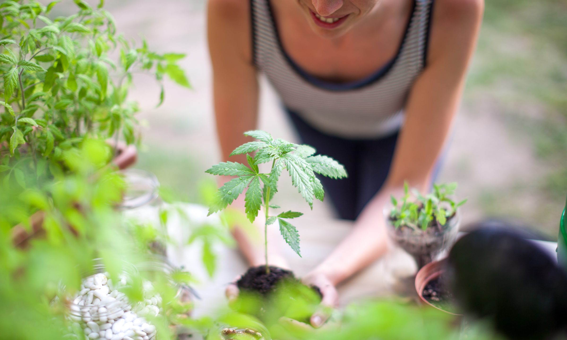 10 Cannabis Stocks That Are Benefitting From Rescheduling