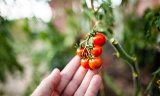 What Is Compound Interest?
