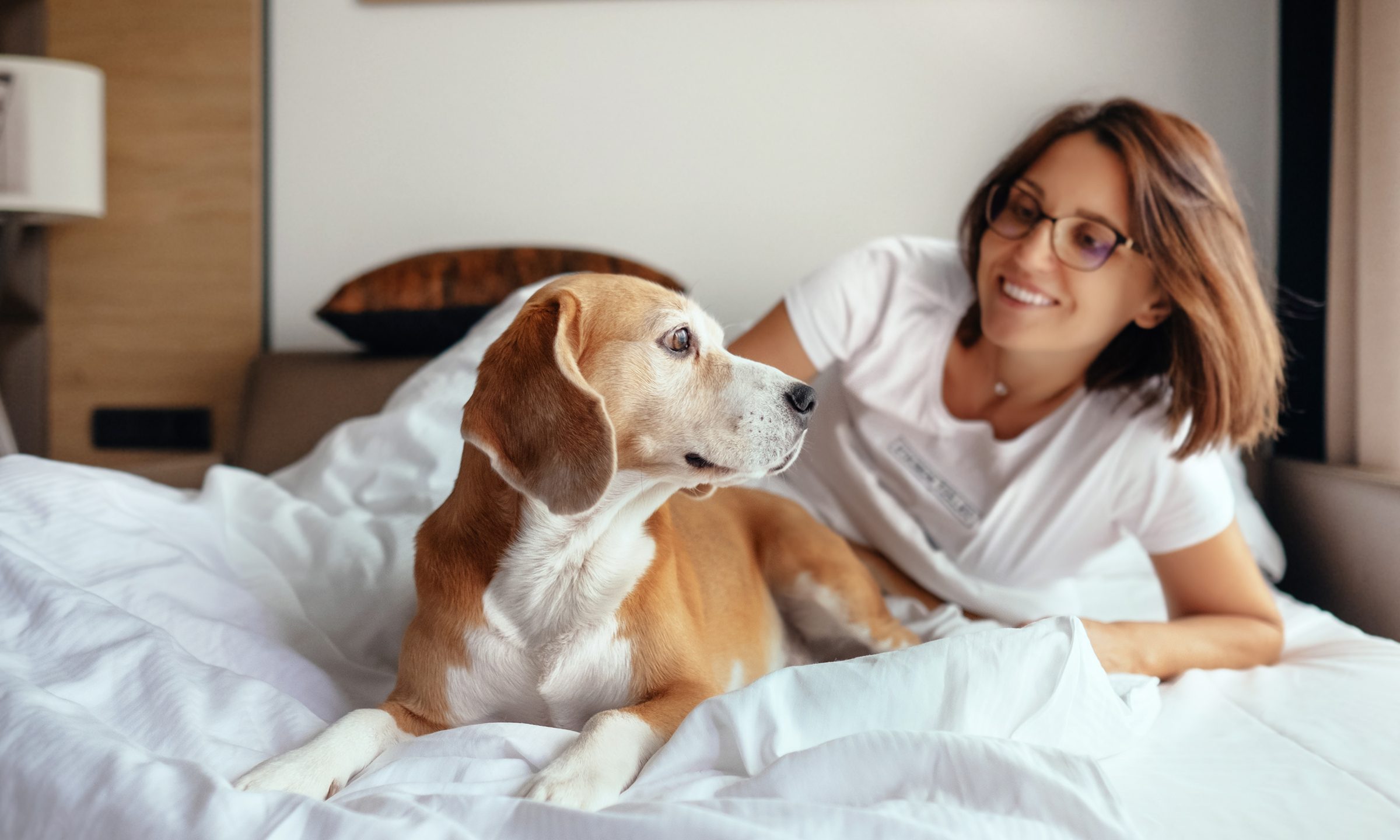 Your Guide to Hotel Travel With Pets