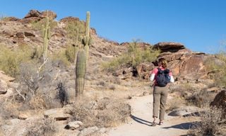 Arizona State Income Tax Income Rate for 2025-2026