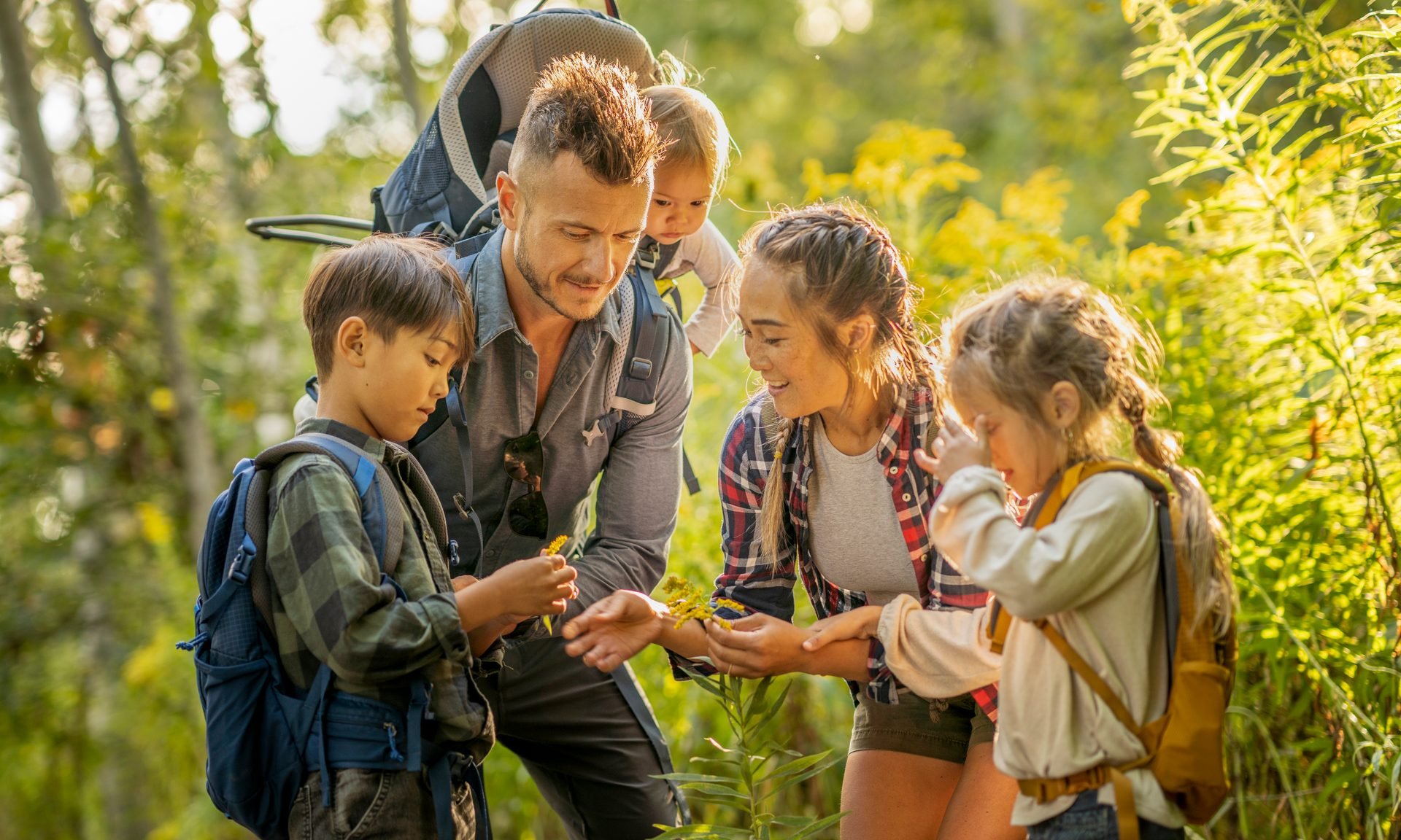 List of 529 Plans: Find the Best One for You - NerdWallet, image size:1920x1152