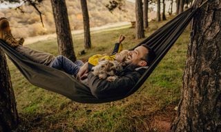 How Much Does Pet Insurance Cost?