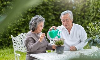 Medicare HMO Plan Explained